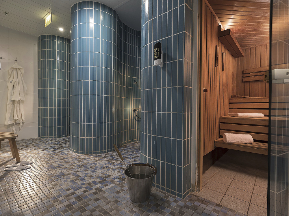 Maritim Hotel proArte Spa